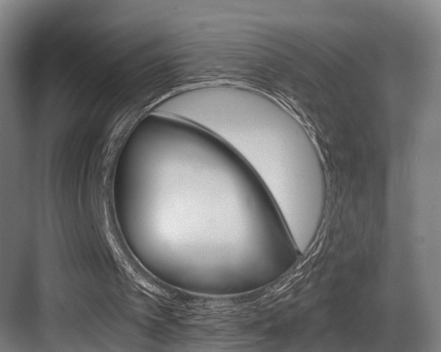X0000084000097200702160807