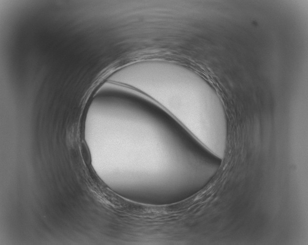 X0000084000099200702160807