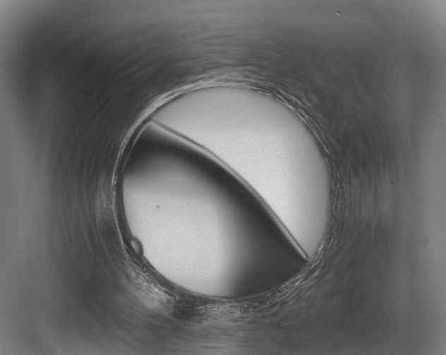 X0000084000100200702160807