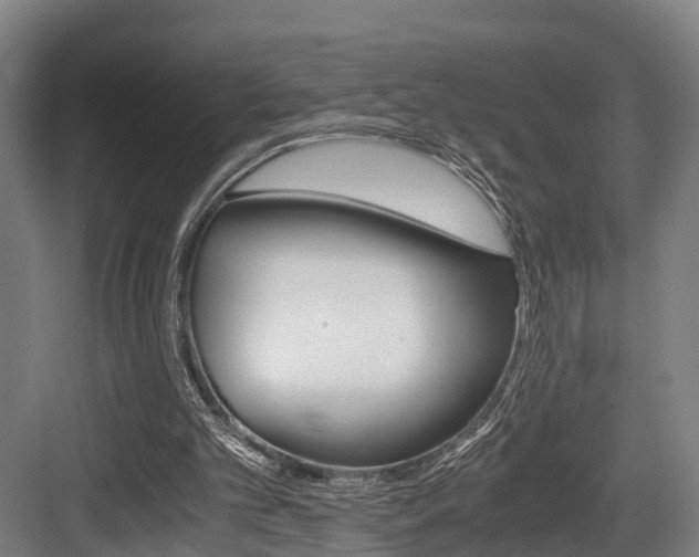 X0000084000101200702160807