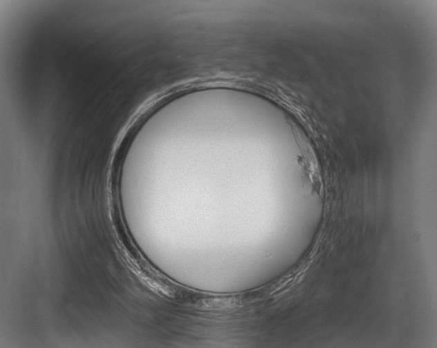 X0000084000102200702160807