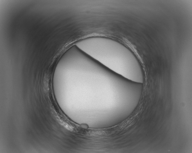 X0000084000106200702160807