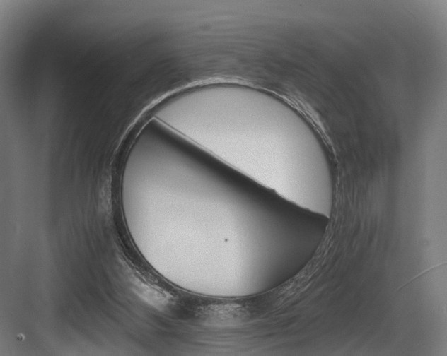 X0000084000108200702160807