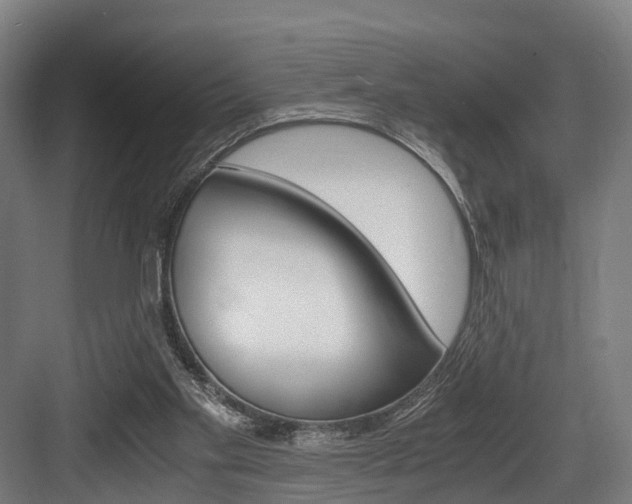 X0000084000109200702160807