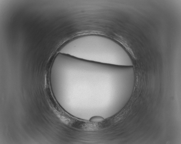 X0000084000110200702160806