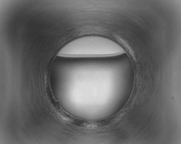 X0000084000113200702160806