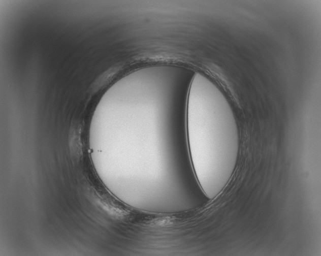 X0000084000116200702160806