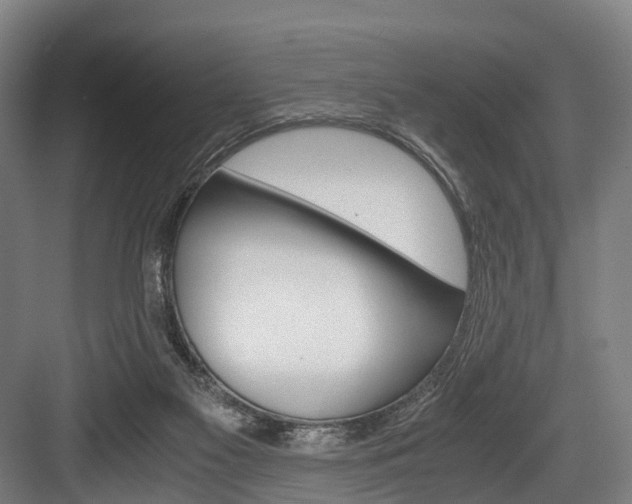 X0000084000117200702160806