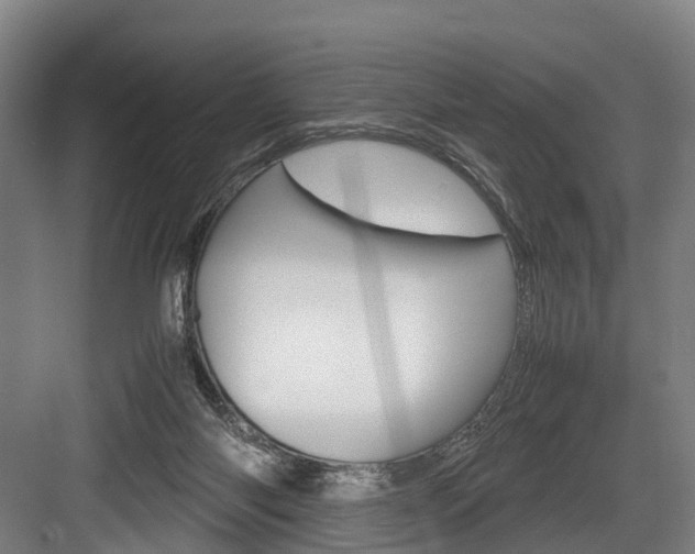 X0000084000118200702160806