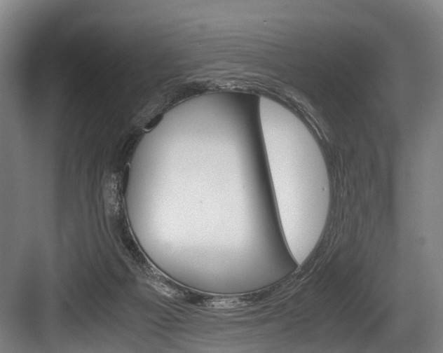 X0000084000121200702160806