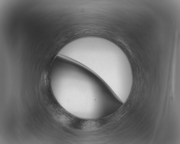 X0000084000123200702160806