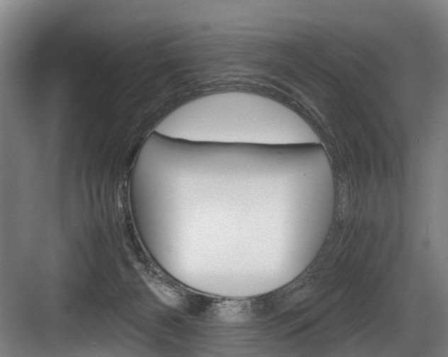 X0000084000126200702160806