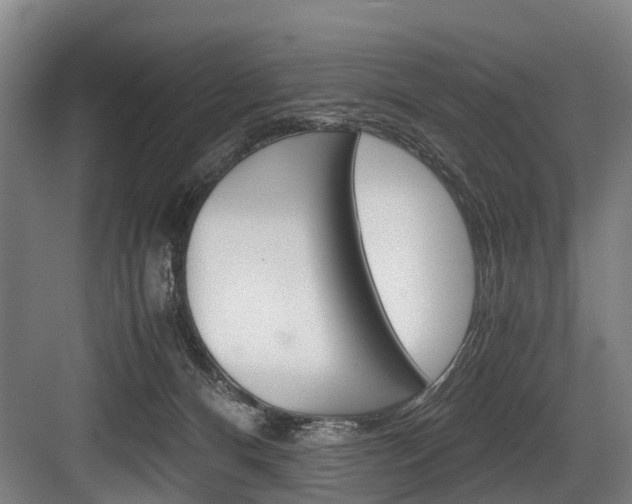X0000084000128200702160806