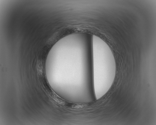 X0000084000129200702160806