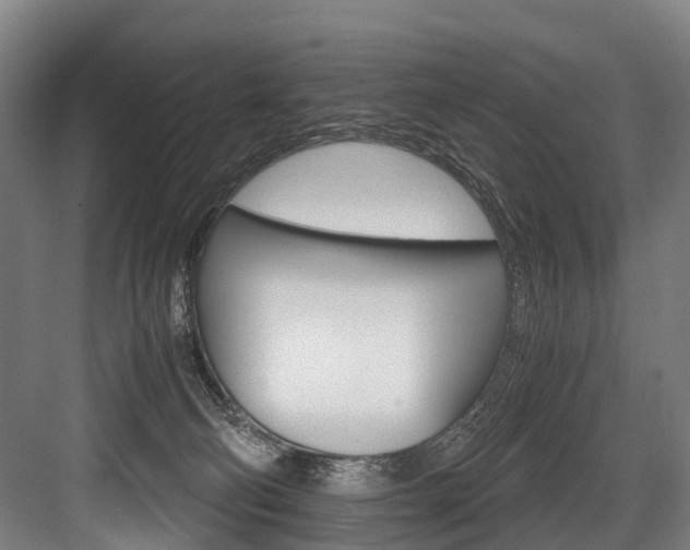 X0000084000130200702160806