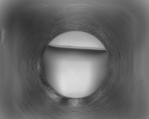 X0000084000131200702160806