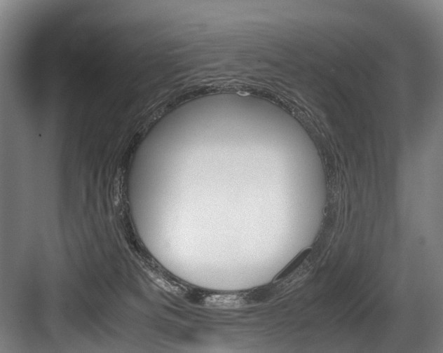 X0000084000133200702160806