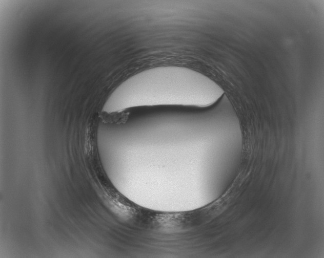 X0000084000136200702160806