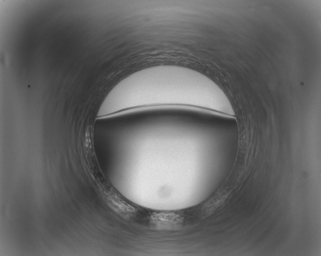 X0000084000137200702160806