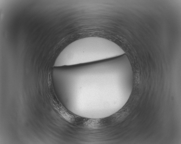 X0000084000138200702160806