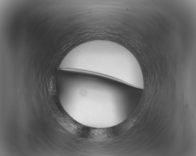 X0000084000139200702160806