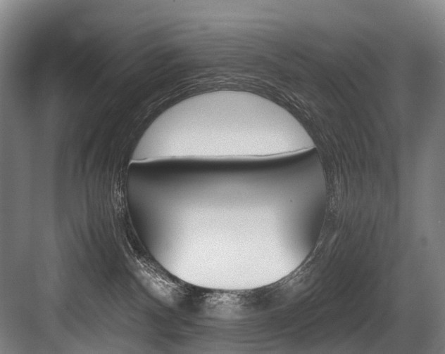 X0000084000140200702160806