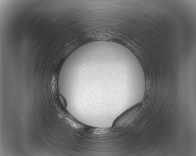 X0000084000142200702160806