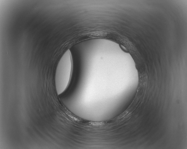 X0000084000143200702160806