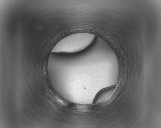 X0000084000144200702160806