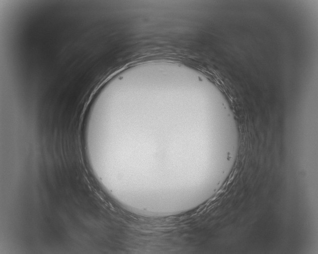 X0000084000146200702160805