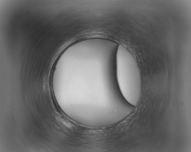 X0000084000147200702160805