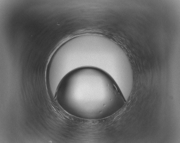 X0000084000148200702160805