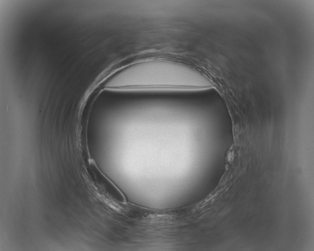 X0000084000150200702160805