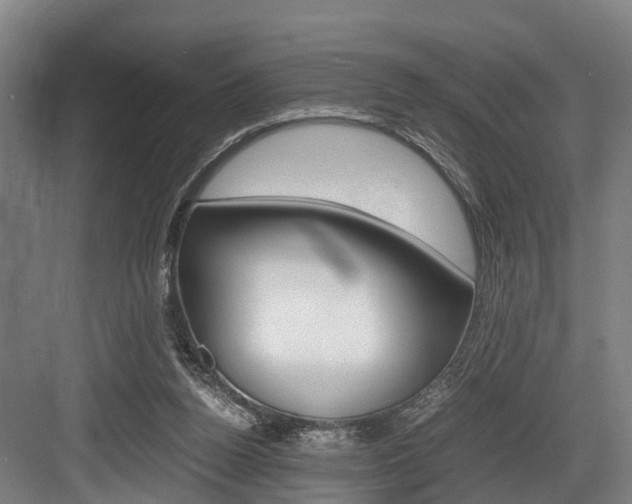 X0000084000160200702160805