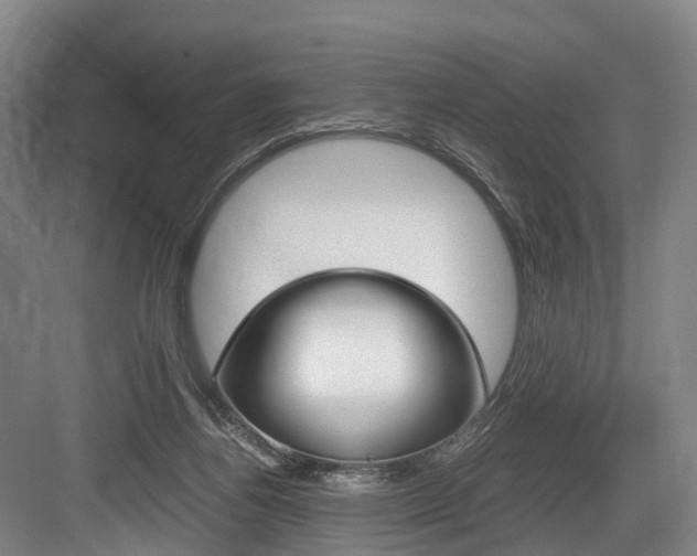 X0000084000164200702160805