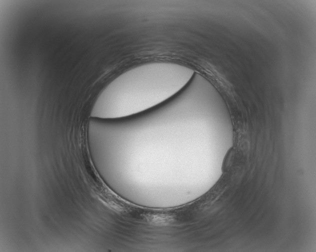 X0000084000165200702160805