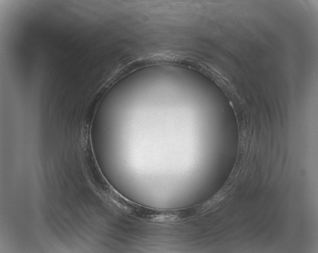 X0000084000168200702160805
