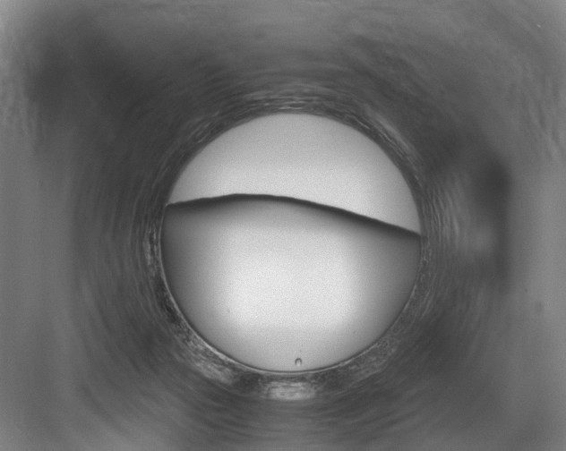 X0000084000169200702160806