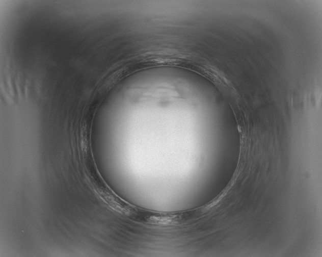 X0000084000170200702160806