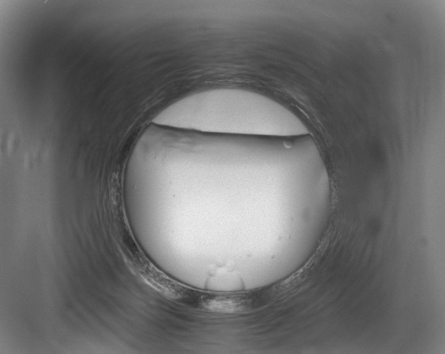 X0000084000171200702160806