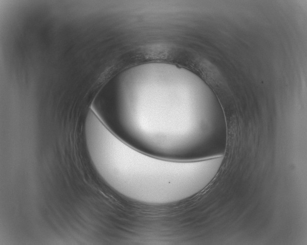 X0000084000172200702160806