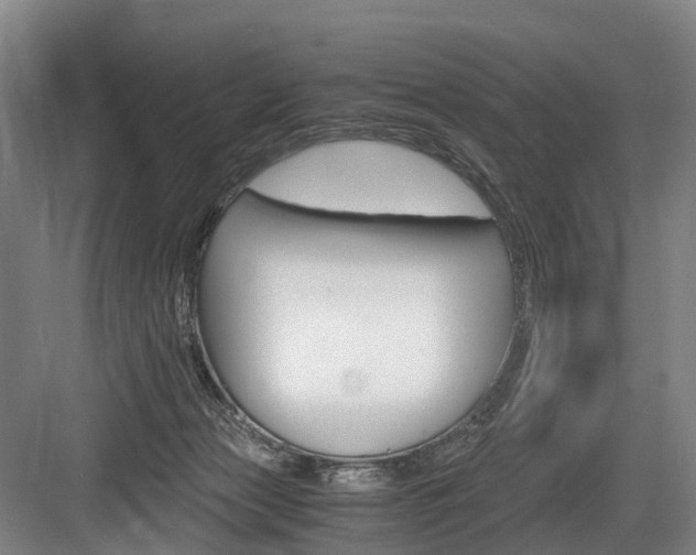 X0000084000173200702160806