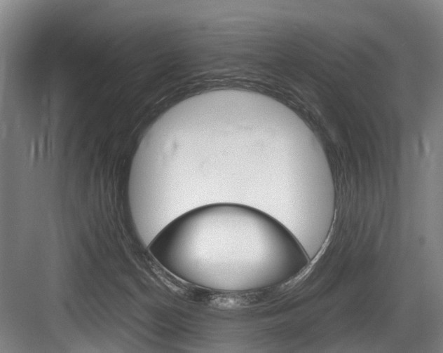 X0000084000174200702160806