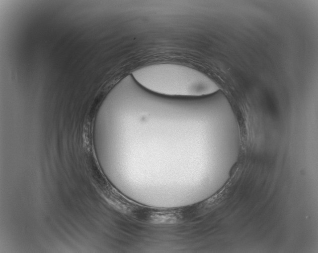 X0000084000175200702160806