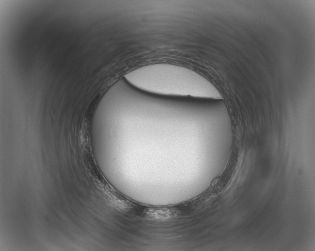 X0000084000181200702160806