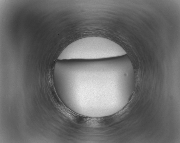 X0000084000182200702160806