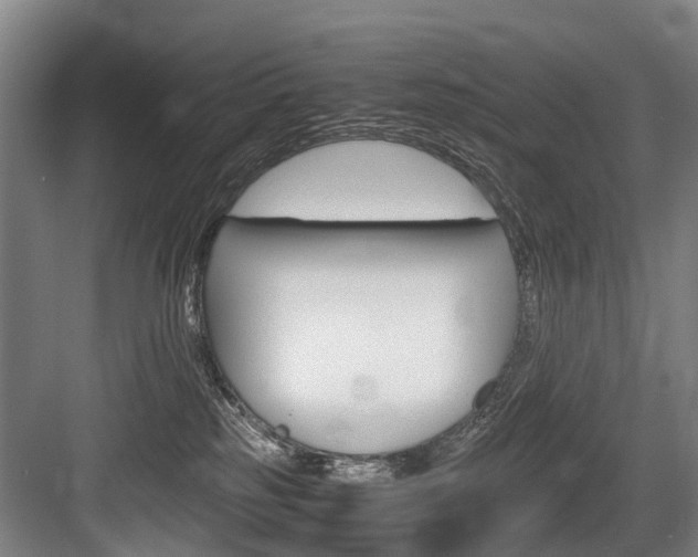 X0000084000185200702160806