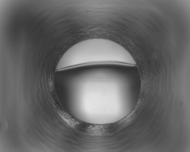 X0000084000186200702160806