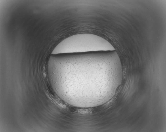X0000084000187200702160806