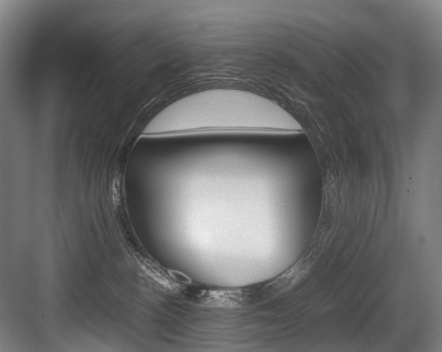 X0000084000188200702160806